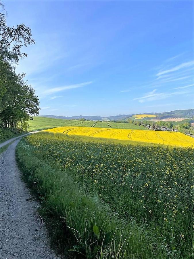 Villa Sauerländer Henne-Lütt Meschede Exterior foto